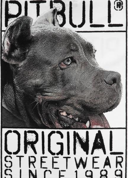 Pit Bull T-Shirt Origin